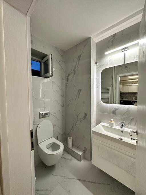 Ultracentral Luxury Apartament 蒂米什瓦拉 外观 照片