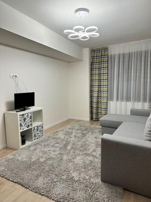 Ultracentral Luxury Apartament 蒂米什瓦拉 外观 照片